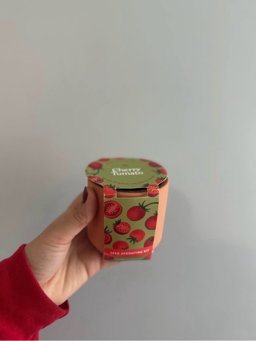 Cherry Tomato Seed Sprouting Kit - Green & Peach